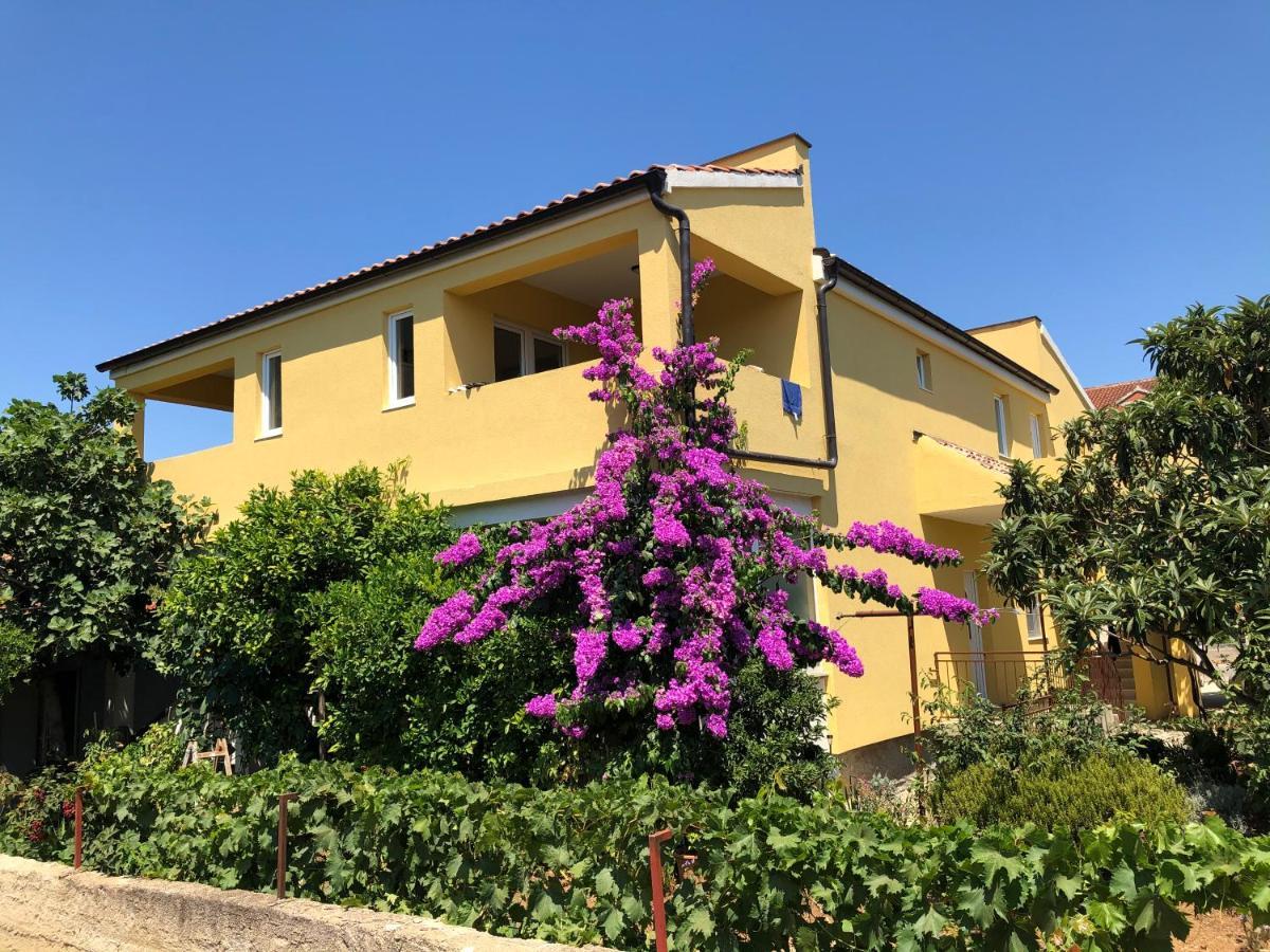 Apartmani BM Biograd Na Moru Bagian luar foto